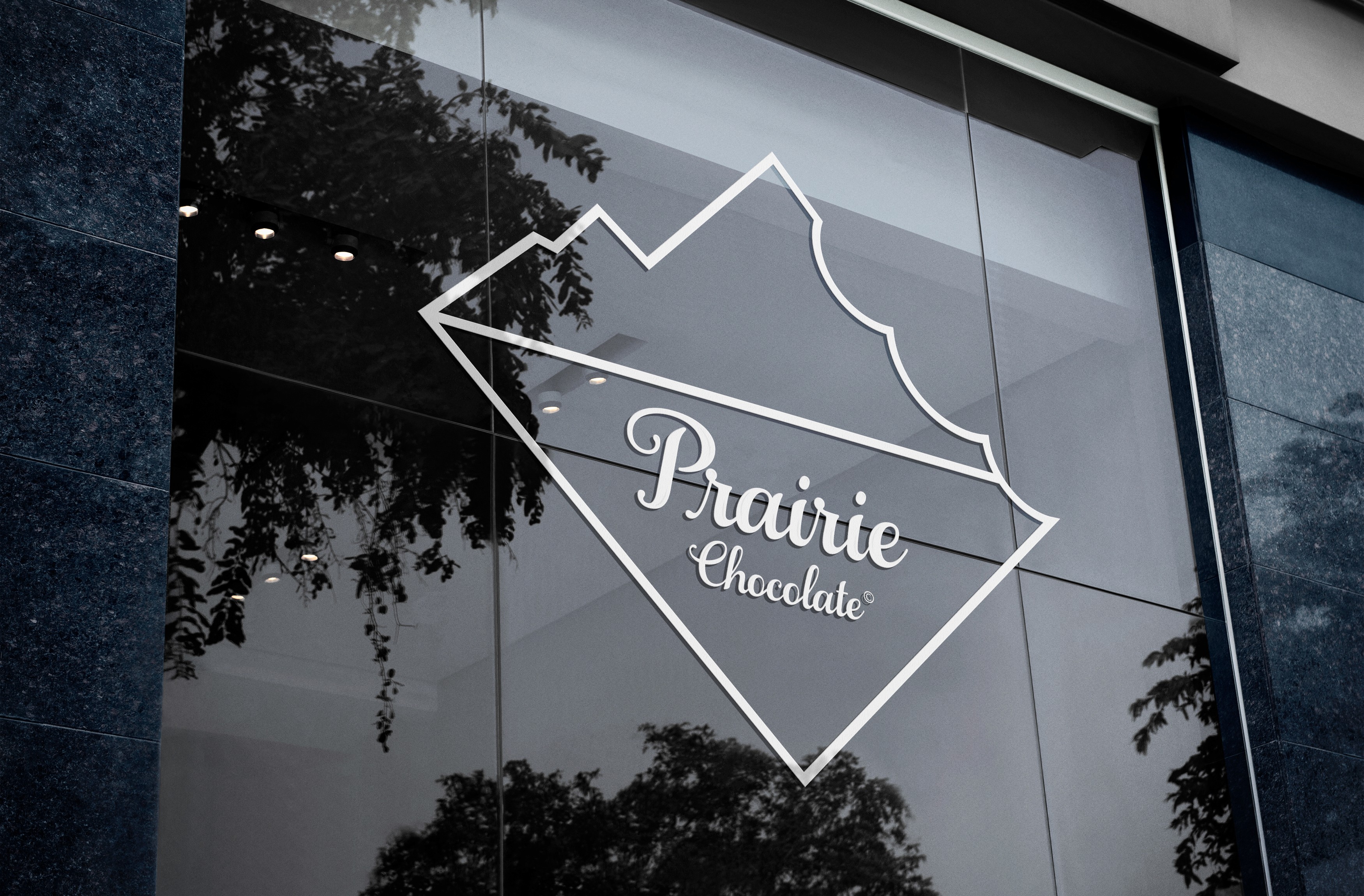 Brand Strategy and Visual Identity