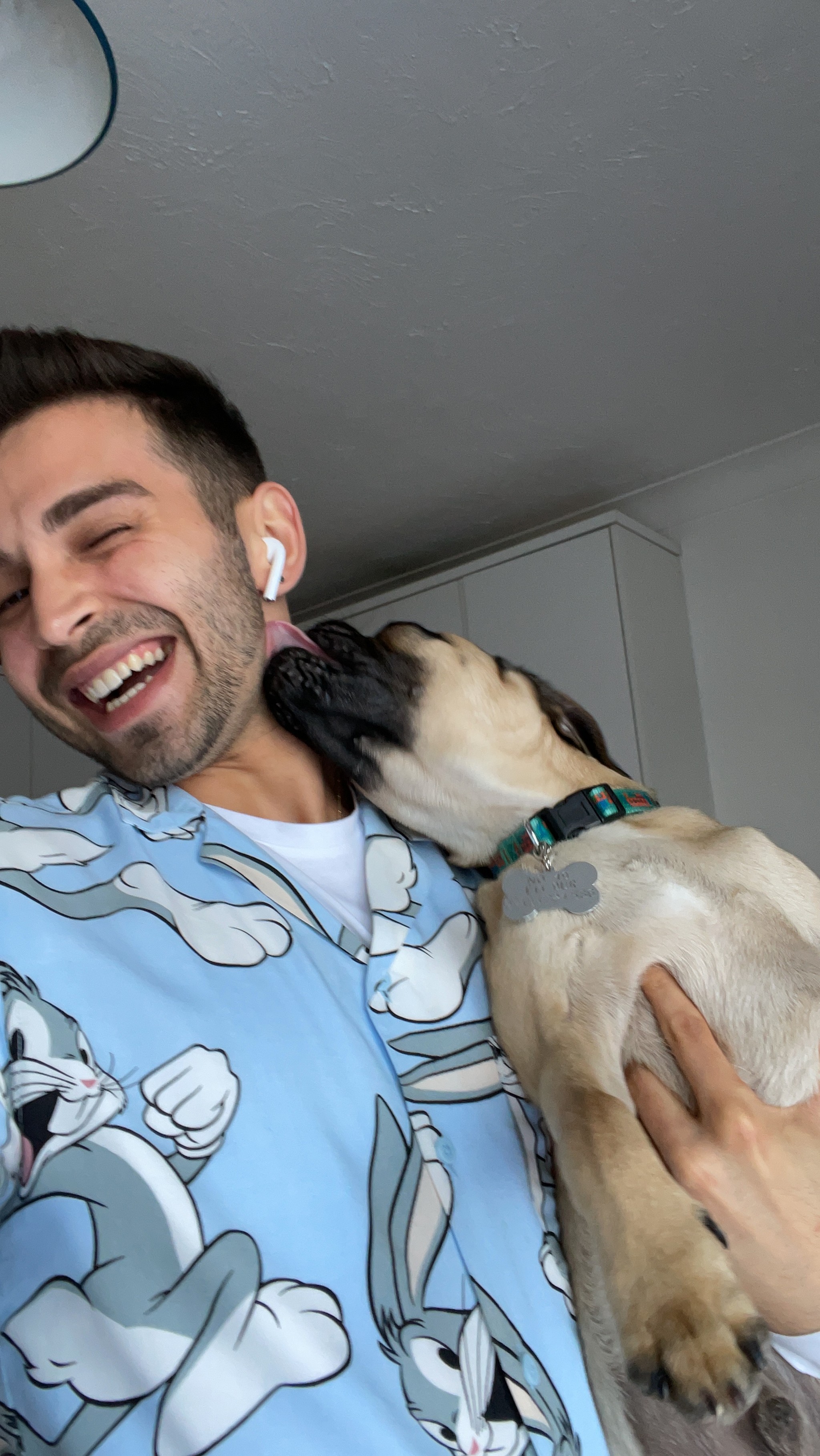 A person wearing a Bugs Bunny shirt laughs joyfully while holding a playful pug that is enthusiastically licking their face, creating a cheerful and lively atmosphere indoors.