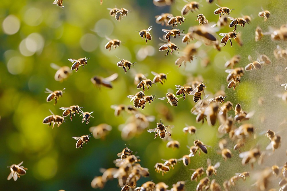 The image featured at the top of the about us page #1