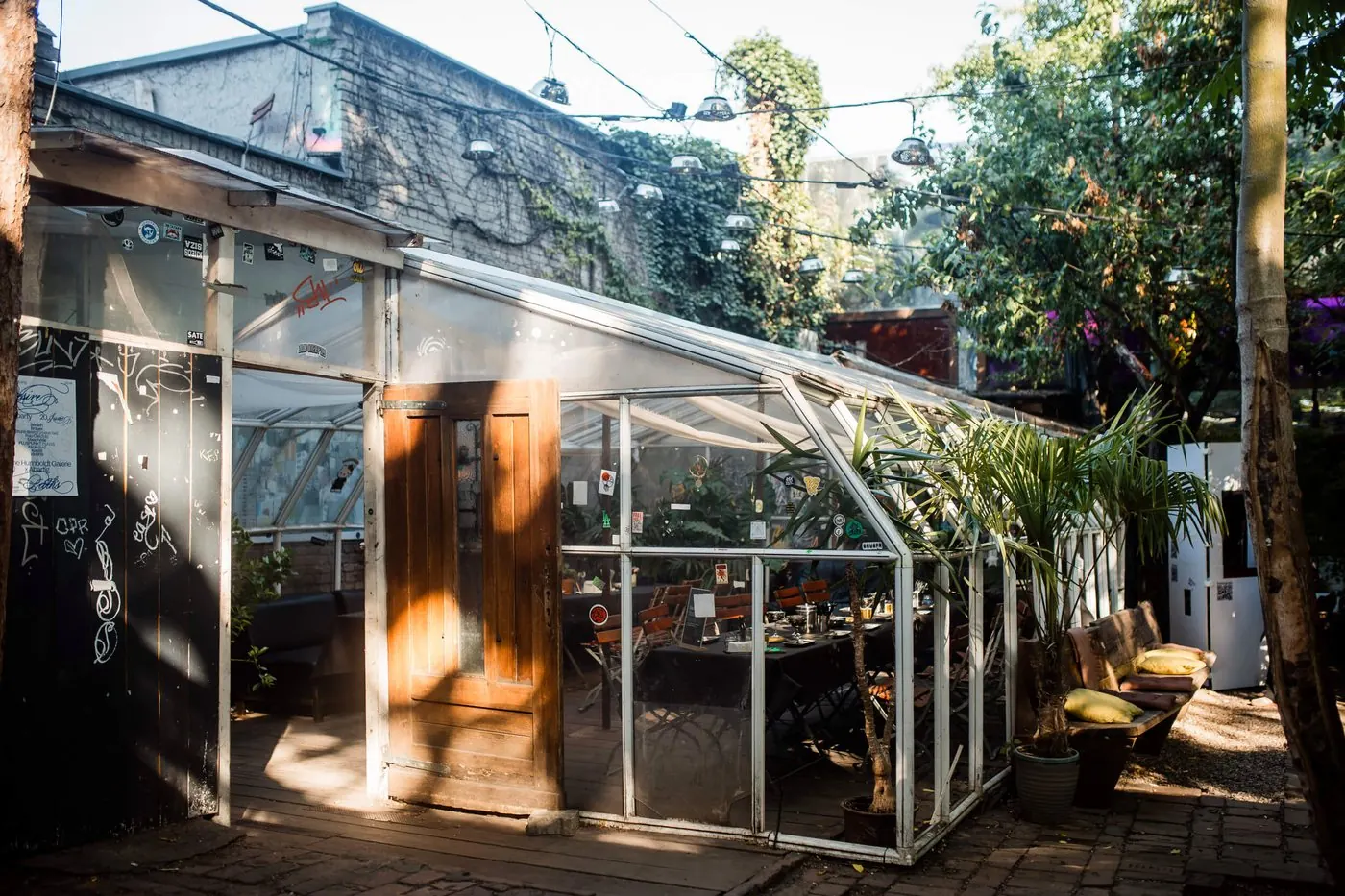 Beheizter Wintergarten aus Glas zwischen Palmen im ÆDEN Garten