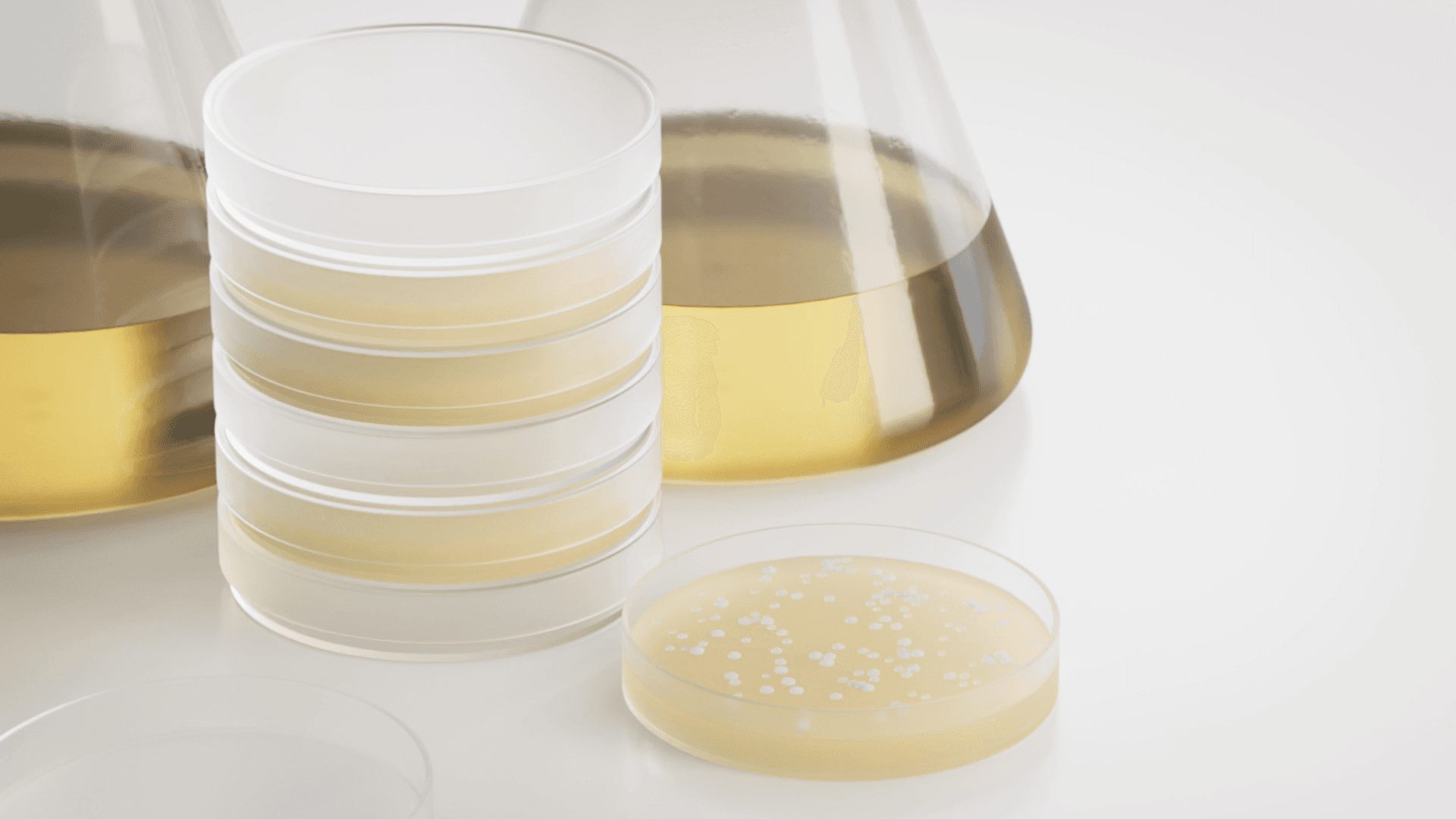 Visualization of the human body alongside normally folded and misfolded proteins