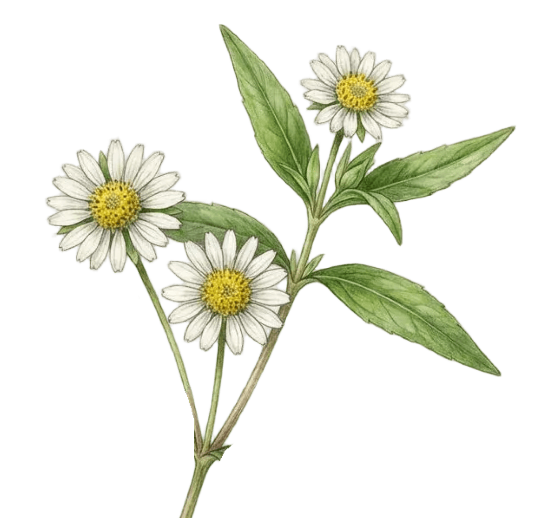 Clear plastic cup with red liquid on a red background
