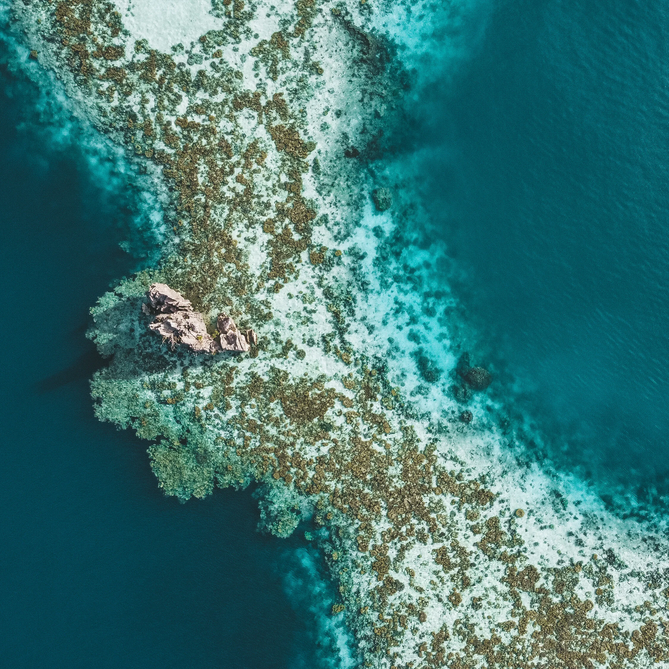 photo of brown bench near swimming pool