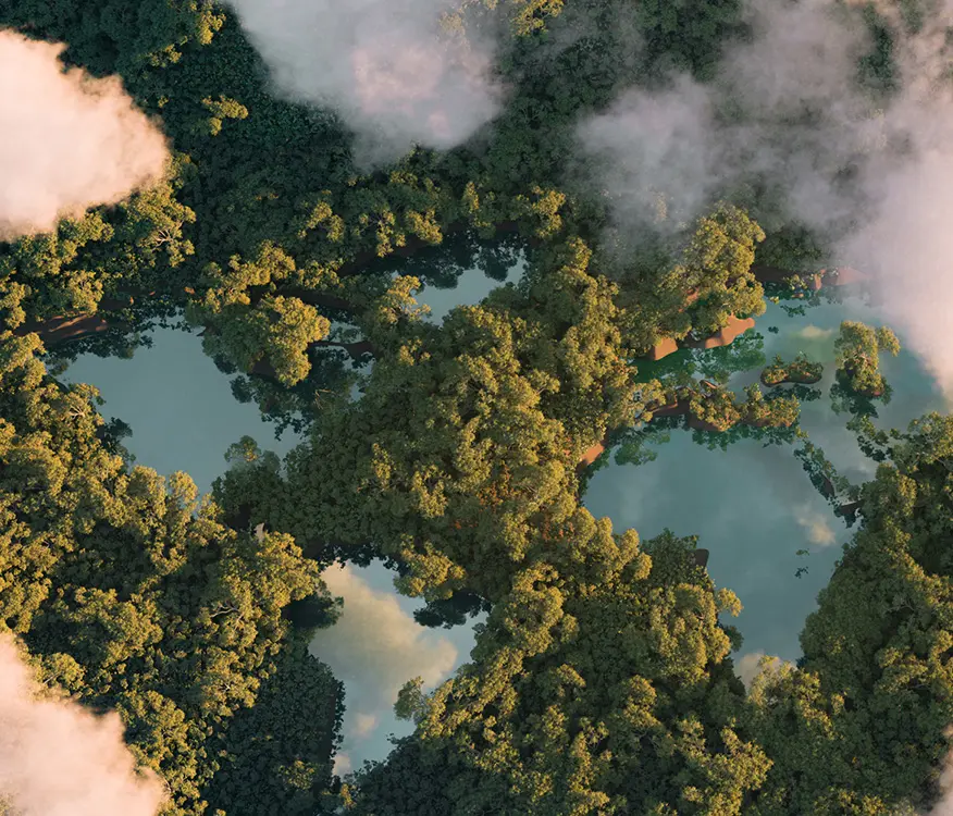 over head view of a forest with small lakes 