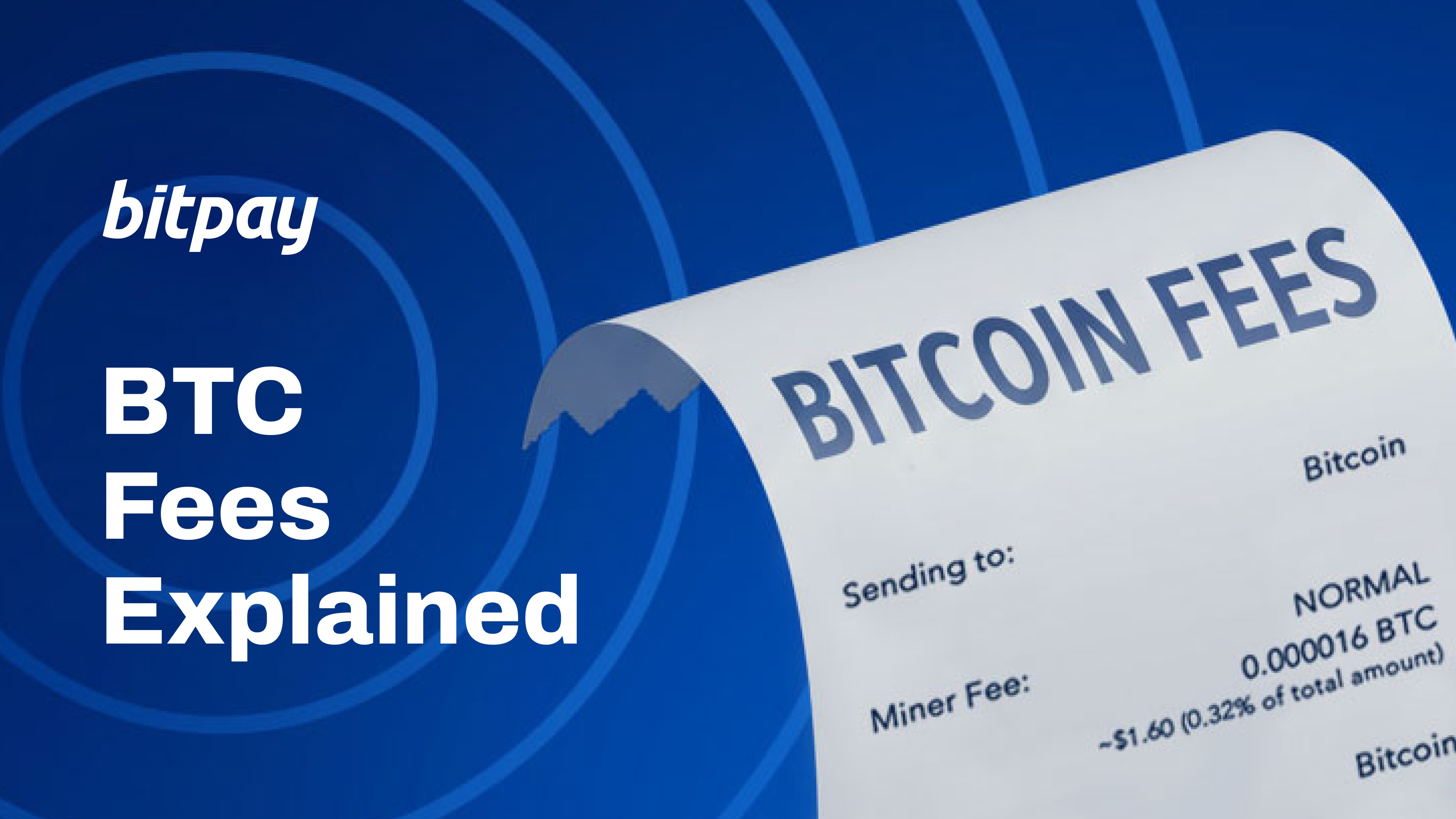 bitcoin network fees explained by bitpay
