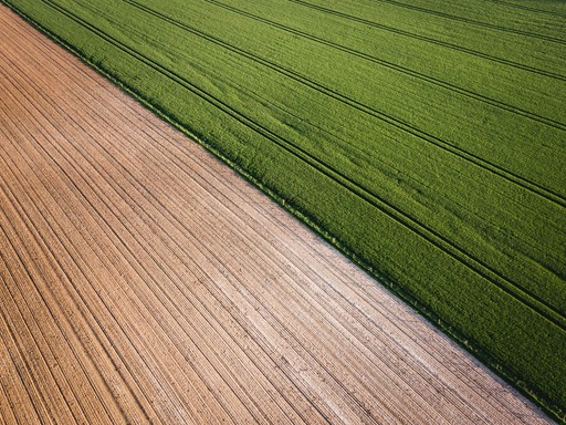 Crop protection pest control for agricultural businesses