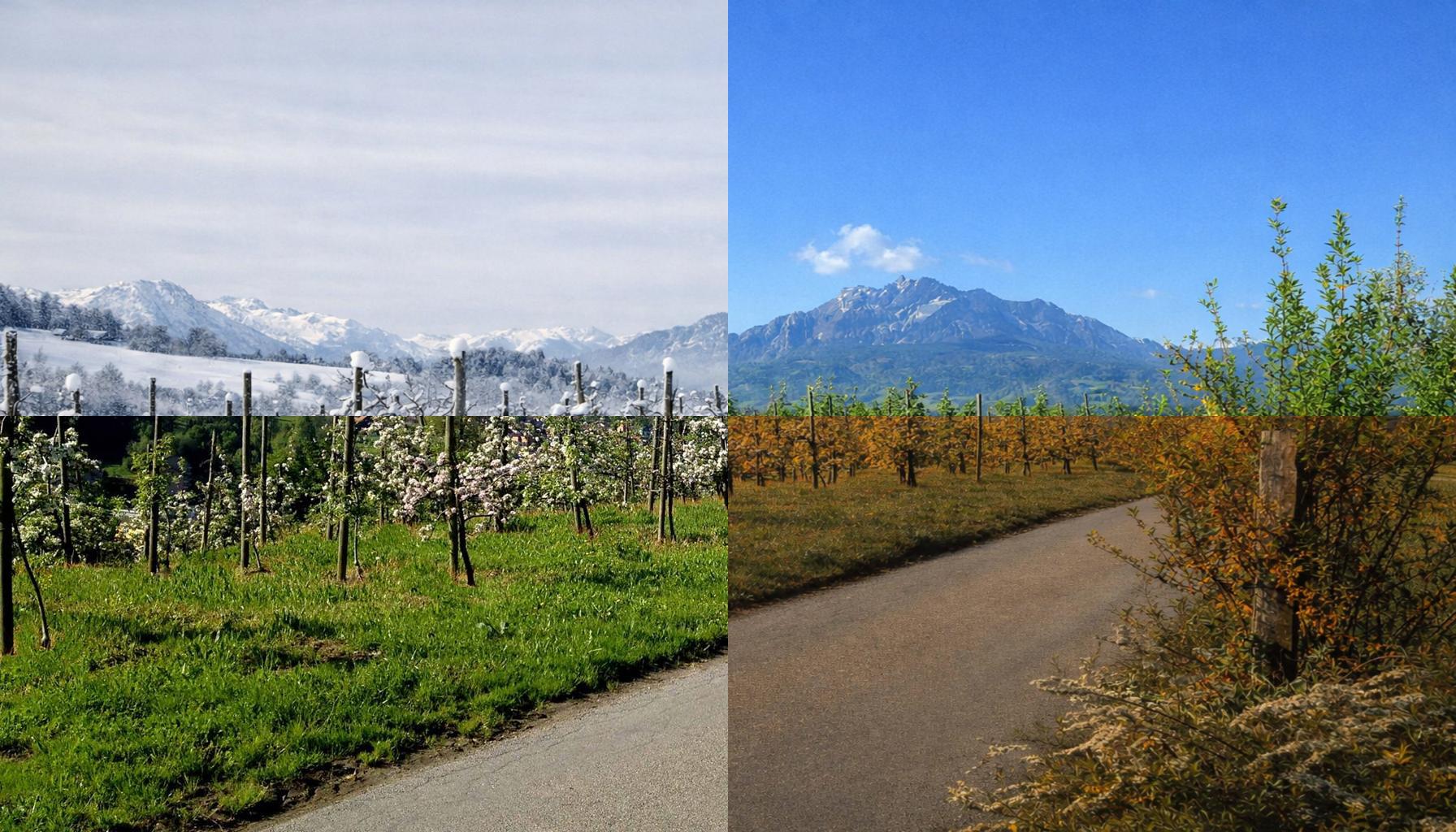 Hoflandschaft mit Obstfeldern und Bergen im Verlauf der vier Jahreszeiten