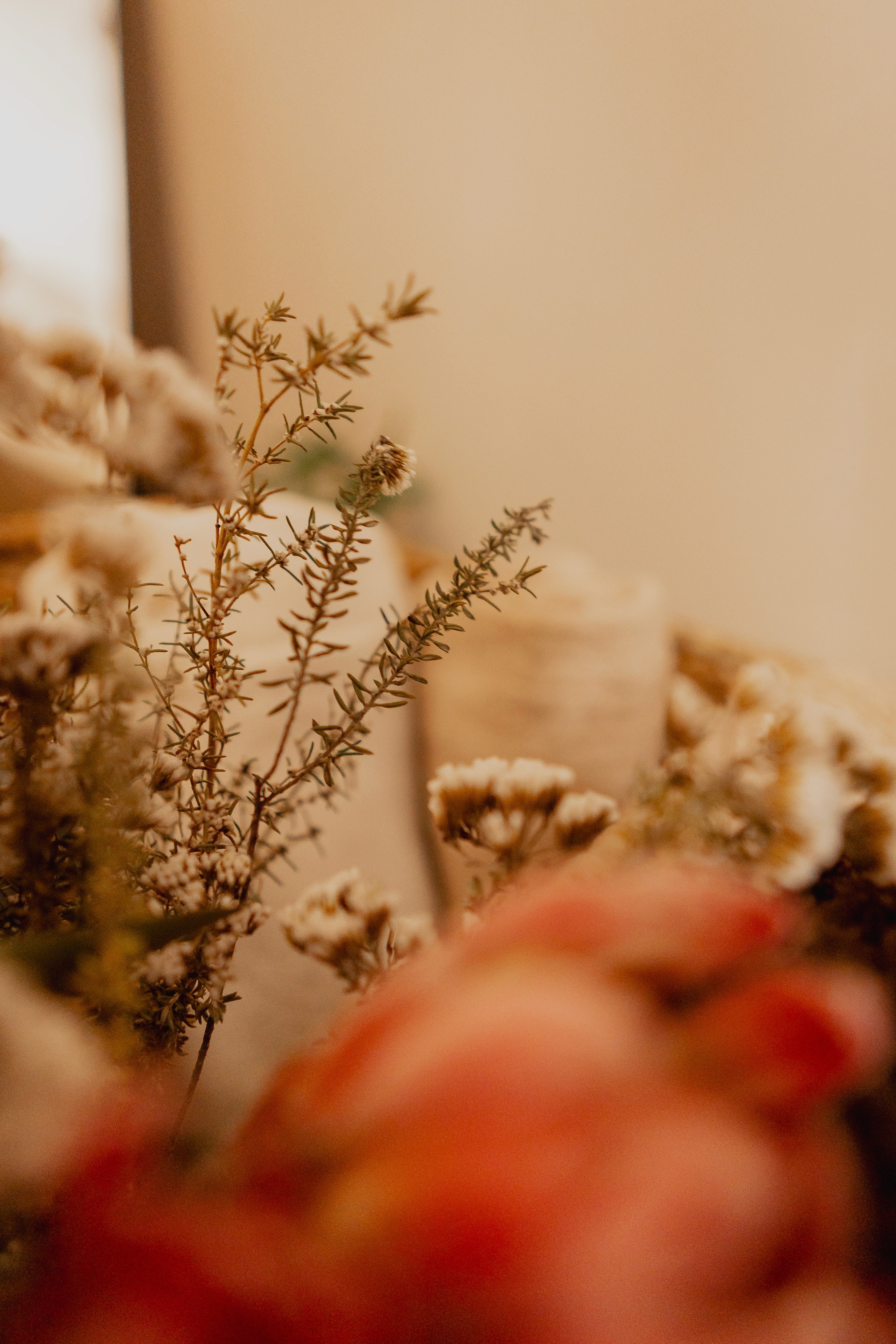 Bellevoire Architecture design