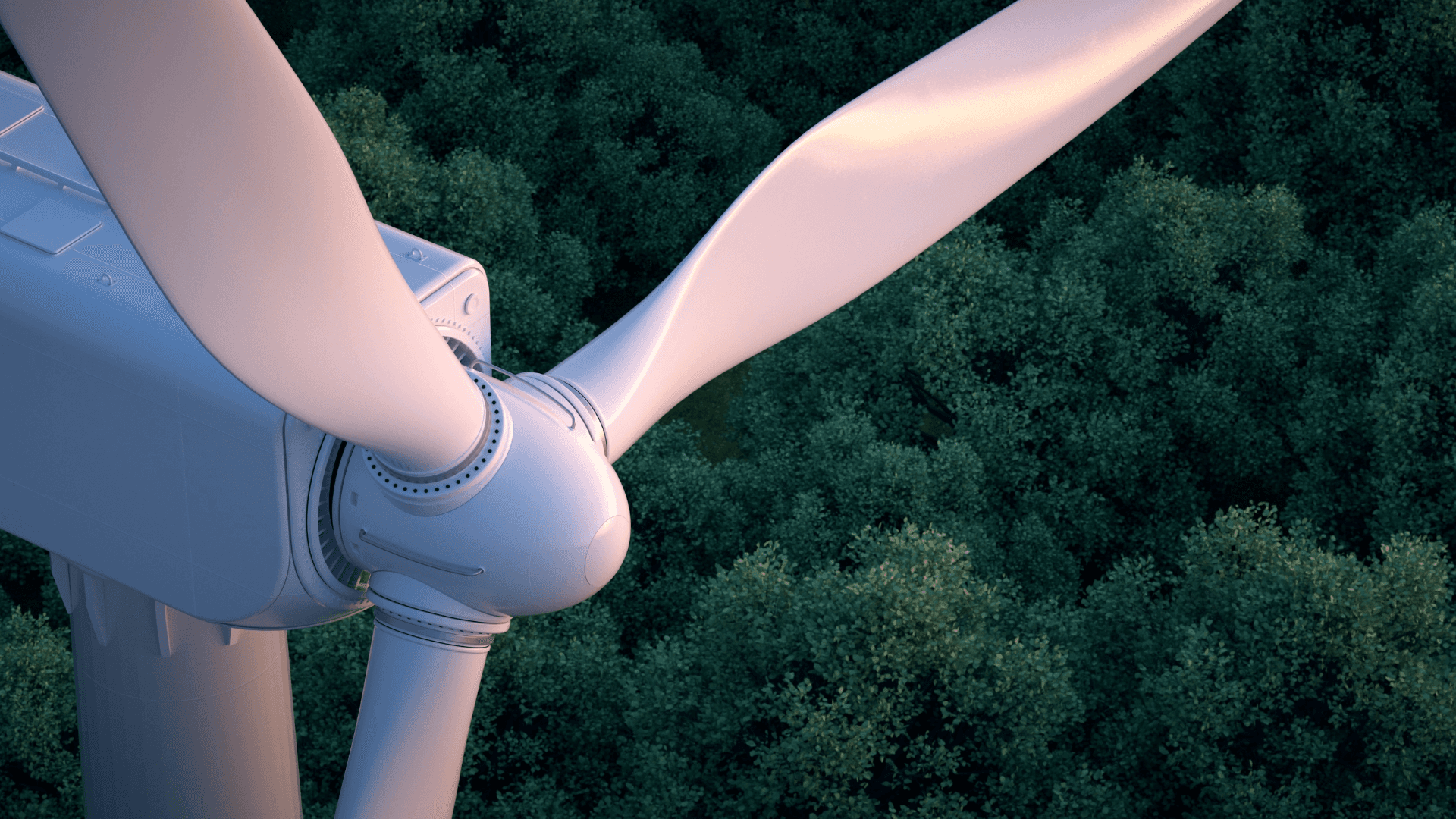 Close-up of a wind turbine hub and blades above woodland, representing renewable energy and wind power infrastructure.