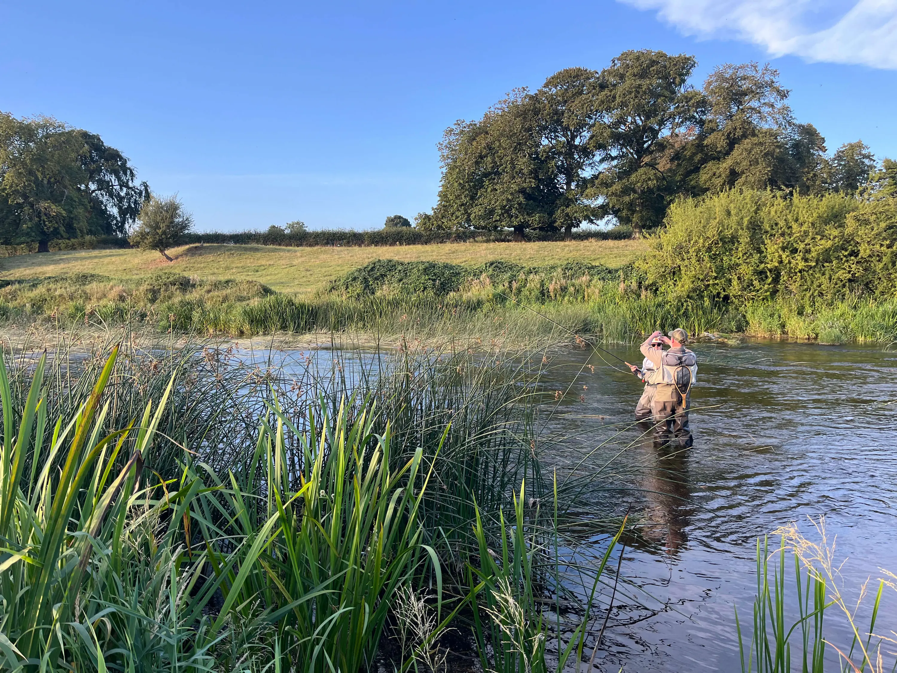 Private fly fishing beat on the River Boyne surrounded by cattle pasture near Trim