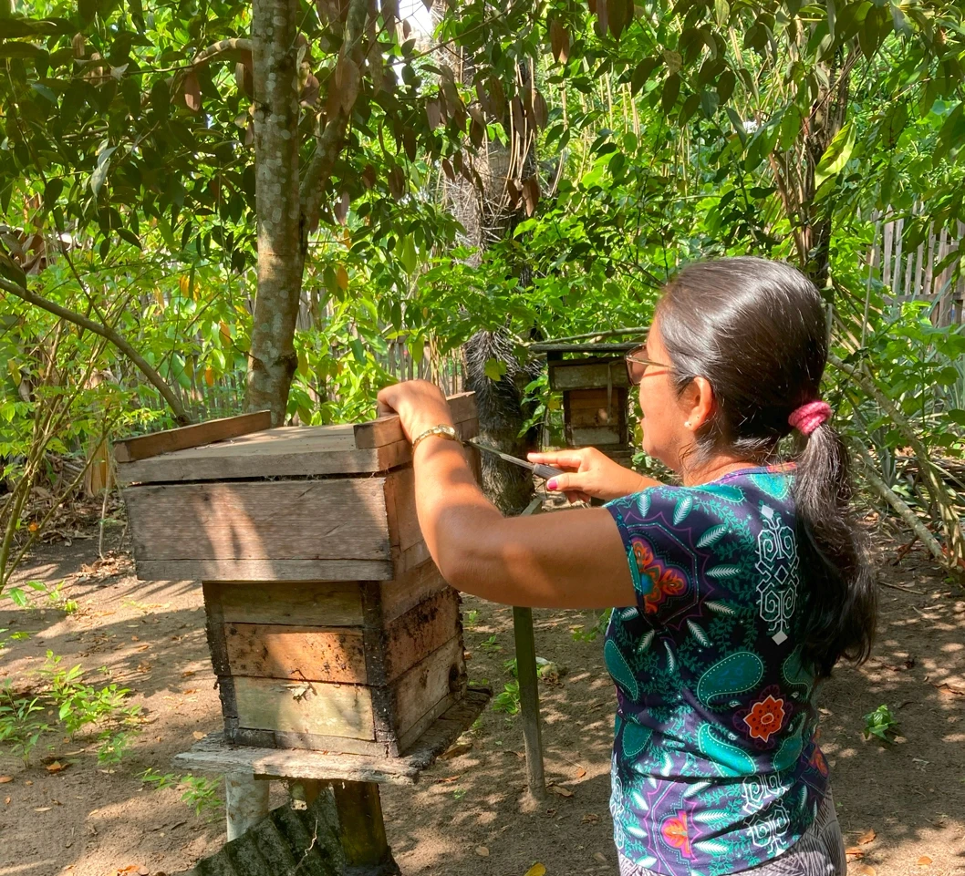 Mulher manejando uma melgueira.