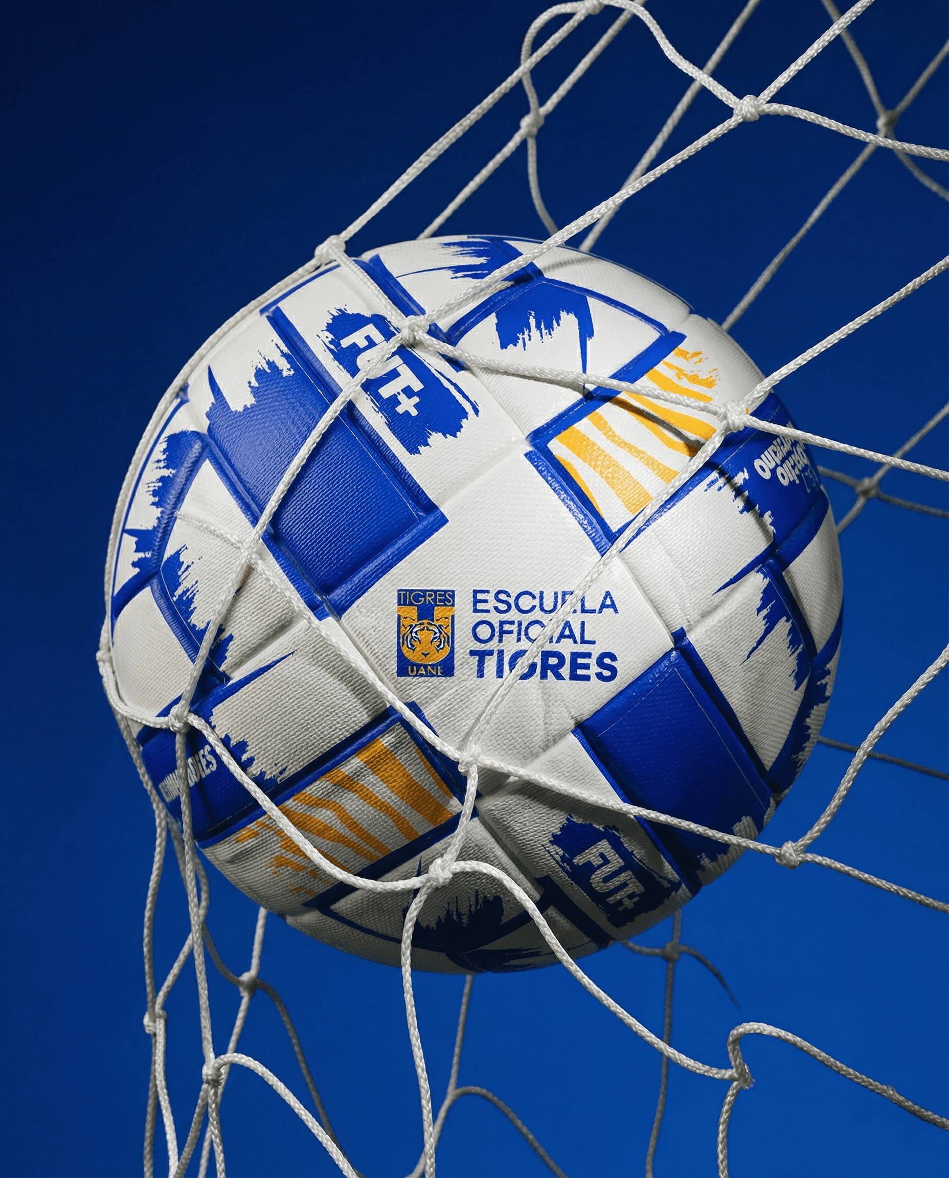 Escuela Tigres Oficial