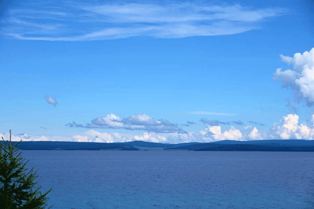 A young person with curly hair smiles at the camera while sitting in front of a laptop against a dark background.