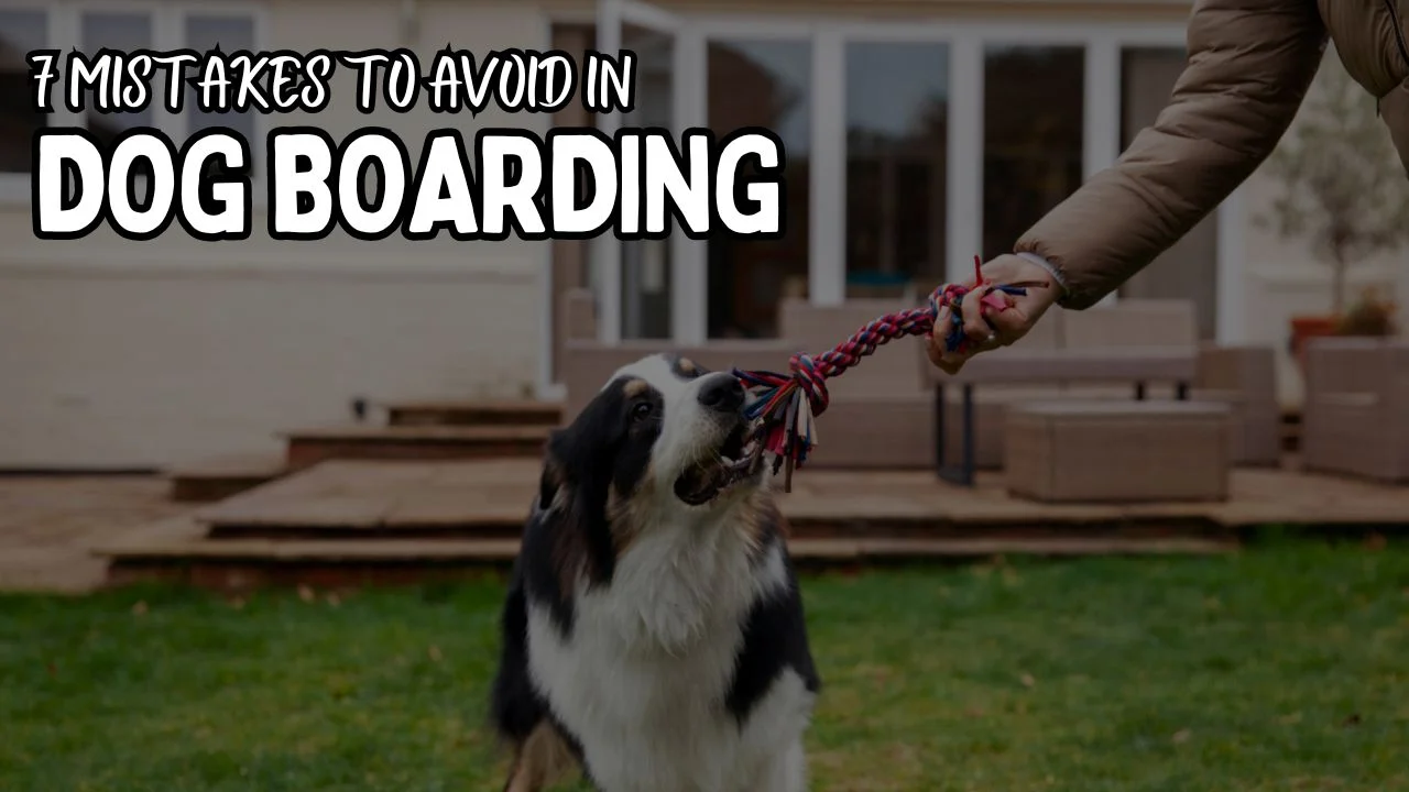 7 Mistakes to Avoid in Dog Boarding: Explore Pet Boarding Mistakes