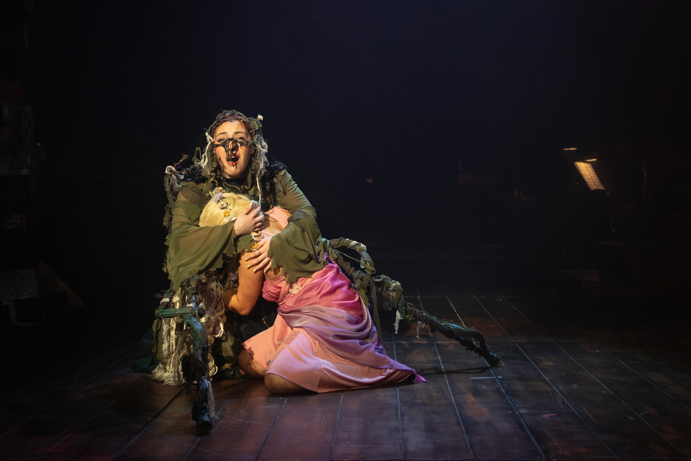 Janet Van De Graaff surrounded by star dancers