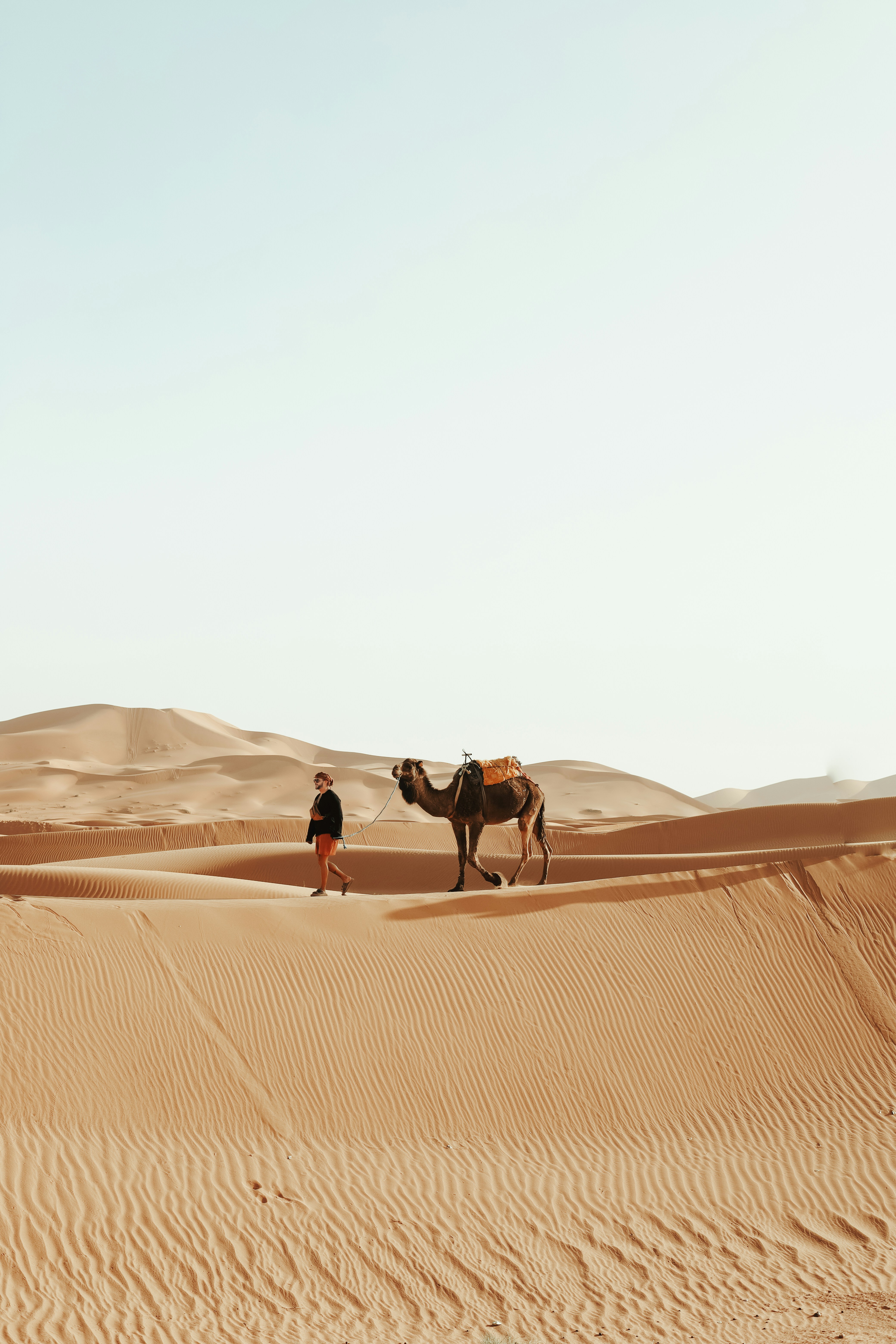 A person walks through sand dunes with a camel.