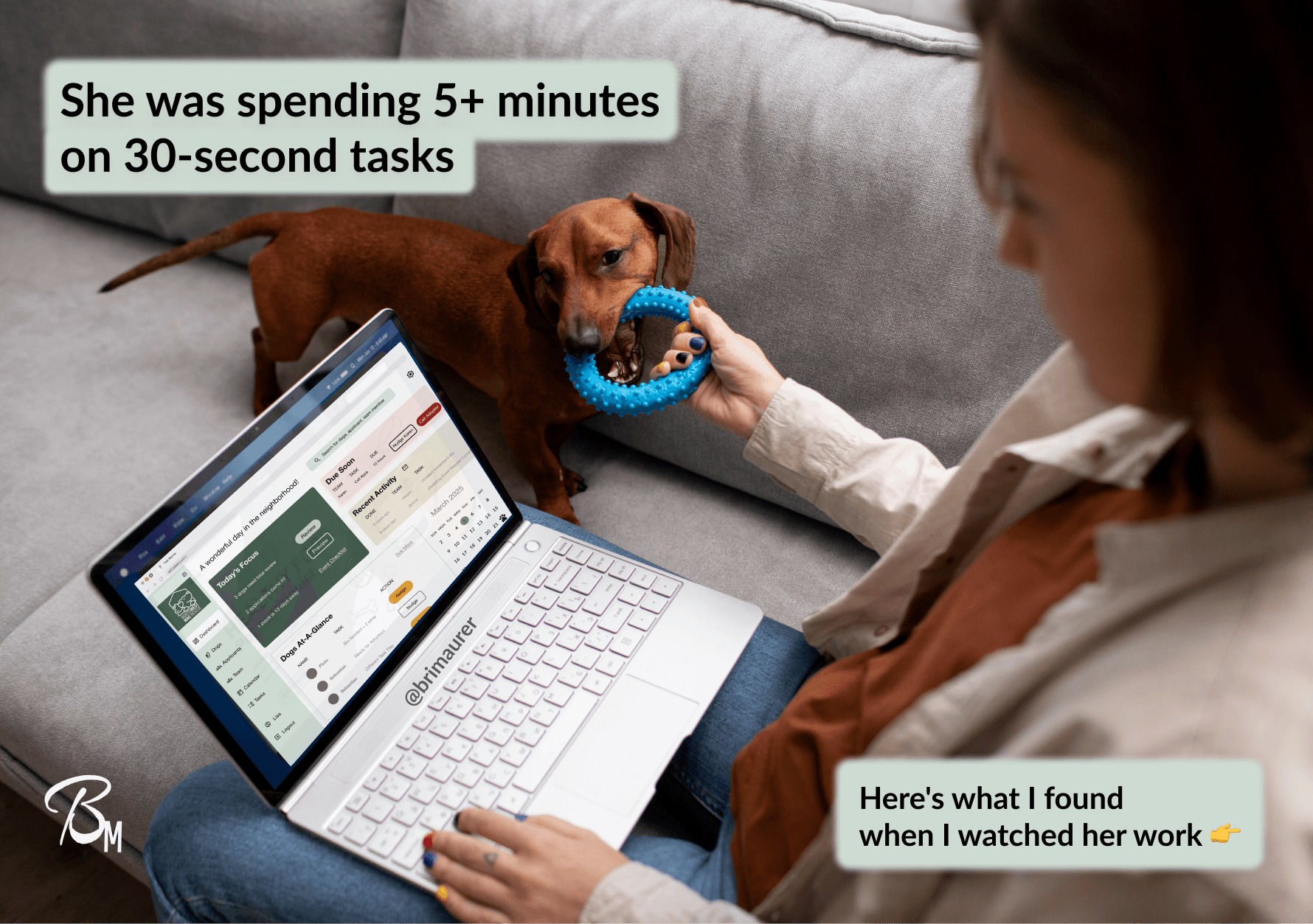Nonprofit dashboard previewed on laptop while playing with dachshund dog