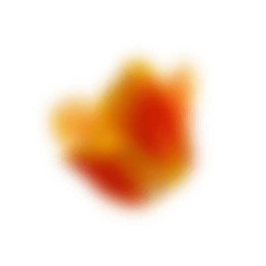Narandžasti cvet lale