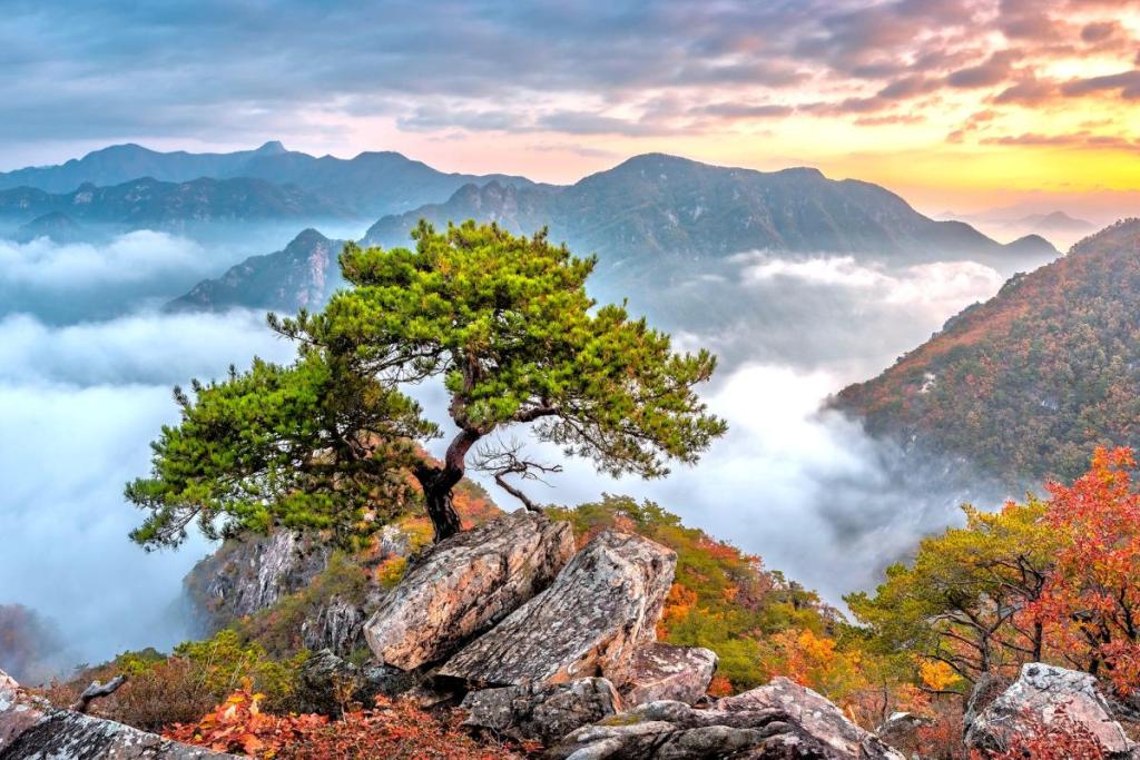 bukhansan national park in autumn