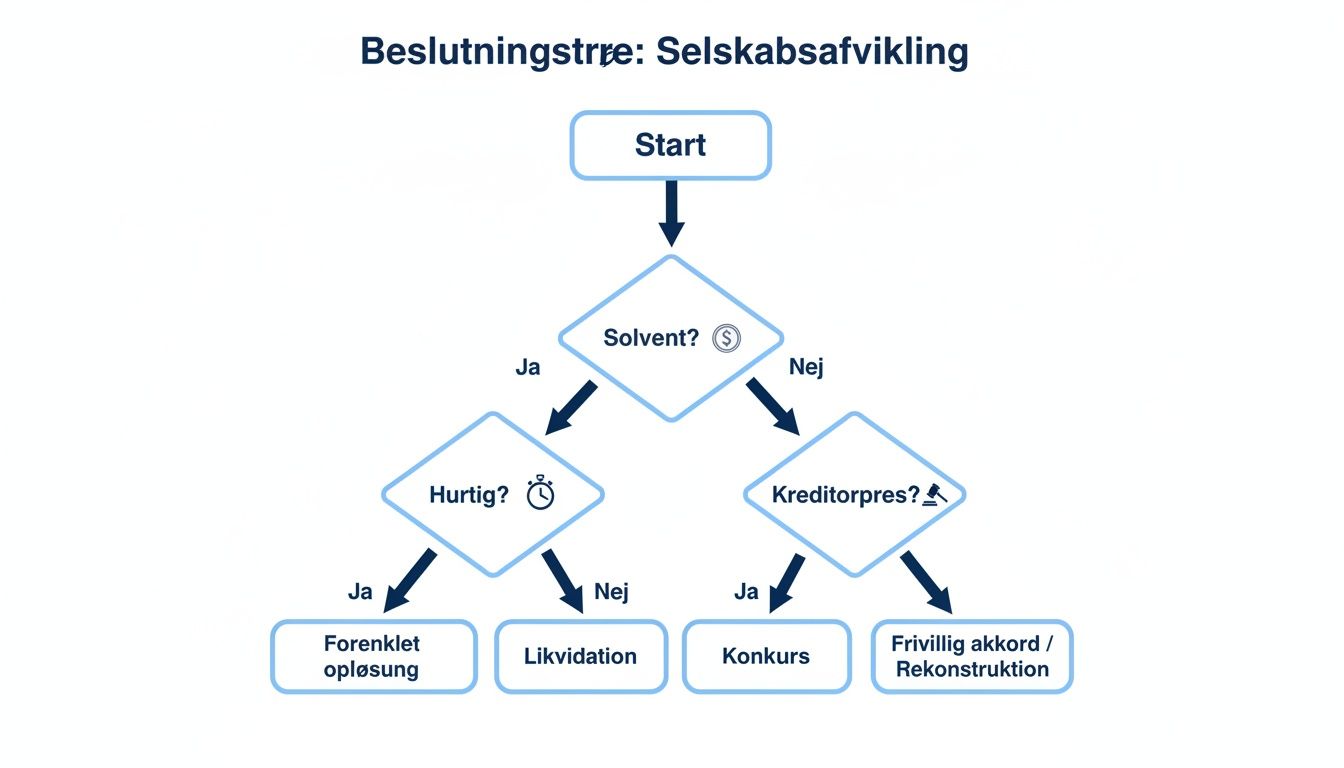 Beslutningstræ, der illustrerer forskellige veje til selskabsafvikling baseret på solvens, hastighed og kreditorpres.