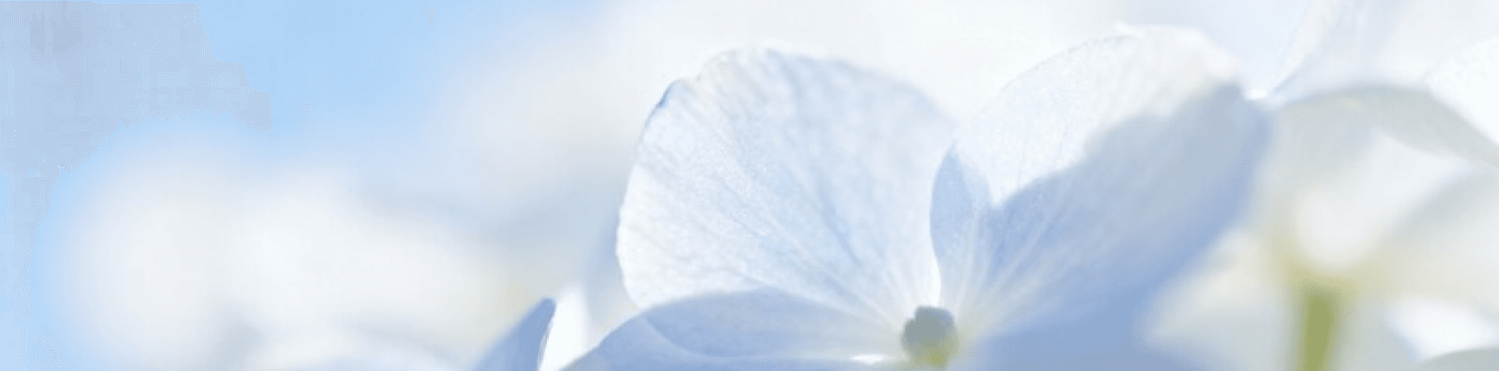 Card Background Image