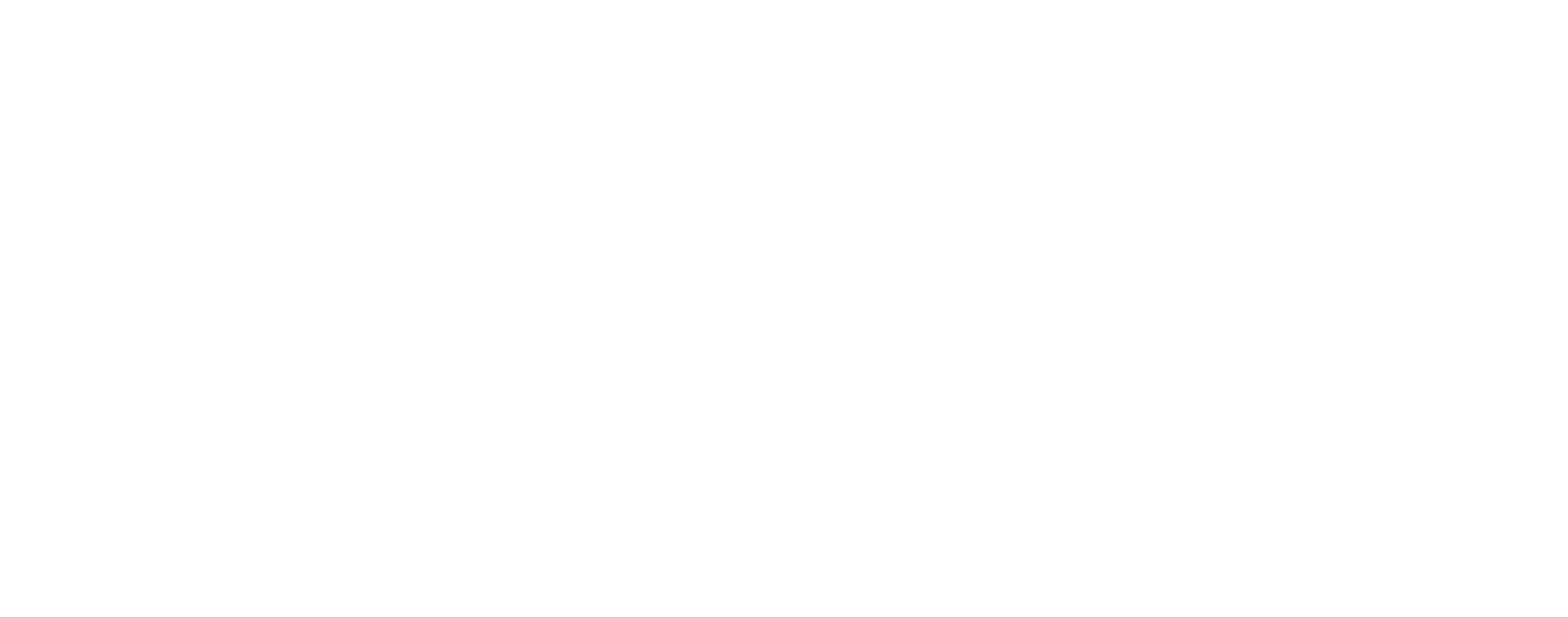 FOCUS Features Logo