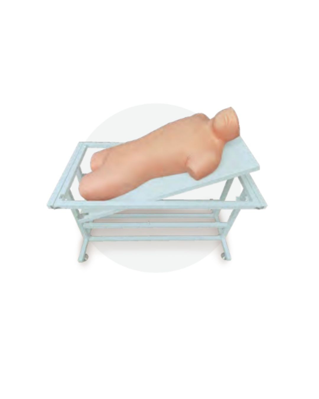 Abdominal Shifting Dullness Percussion and Puncture Model