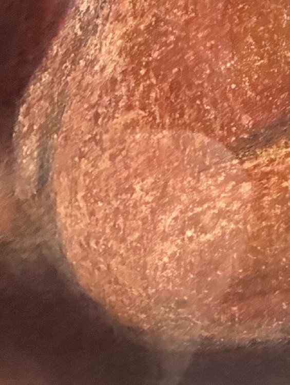 Earth Mourning, 2019. Pastel on paper. by Barbara Walker.