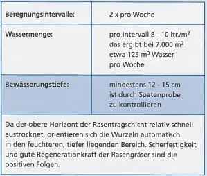 Rasen richtig bewässern im Sommer