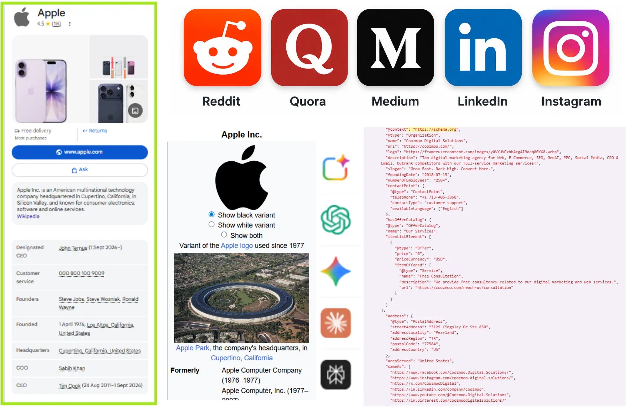 Collage of Apple Inc. company profile, social media icons, and schema markup code.