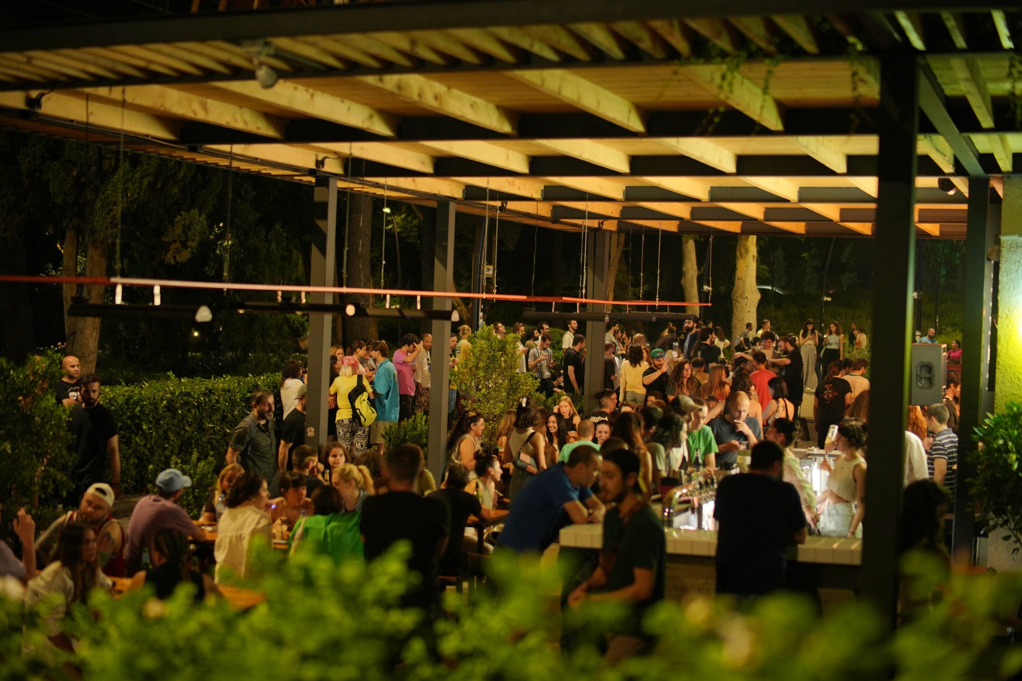 Rooster (Dedaena Park)