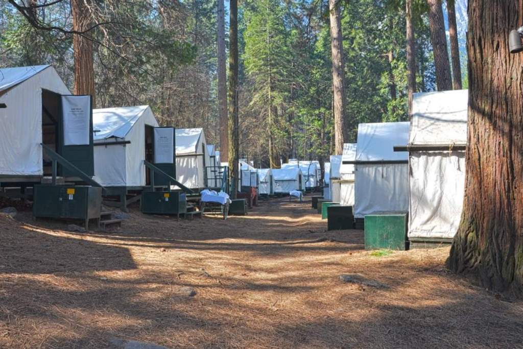 Curry Village, Yosemite