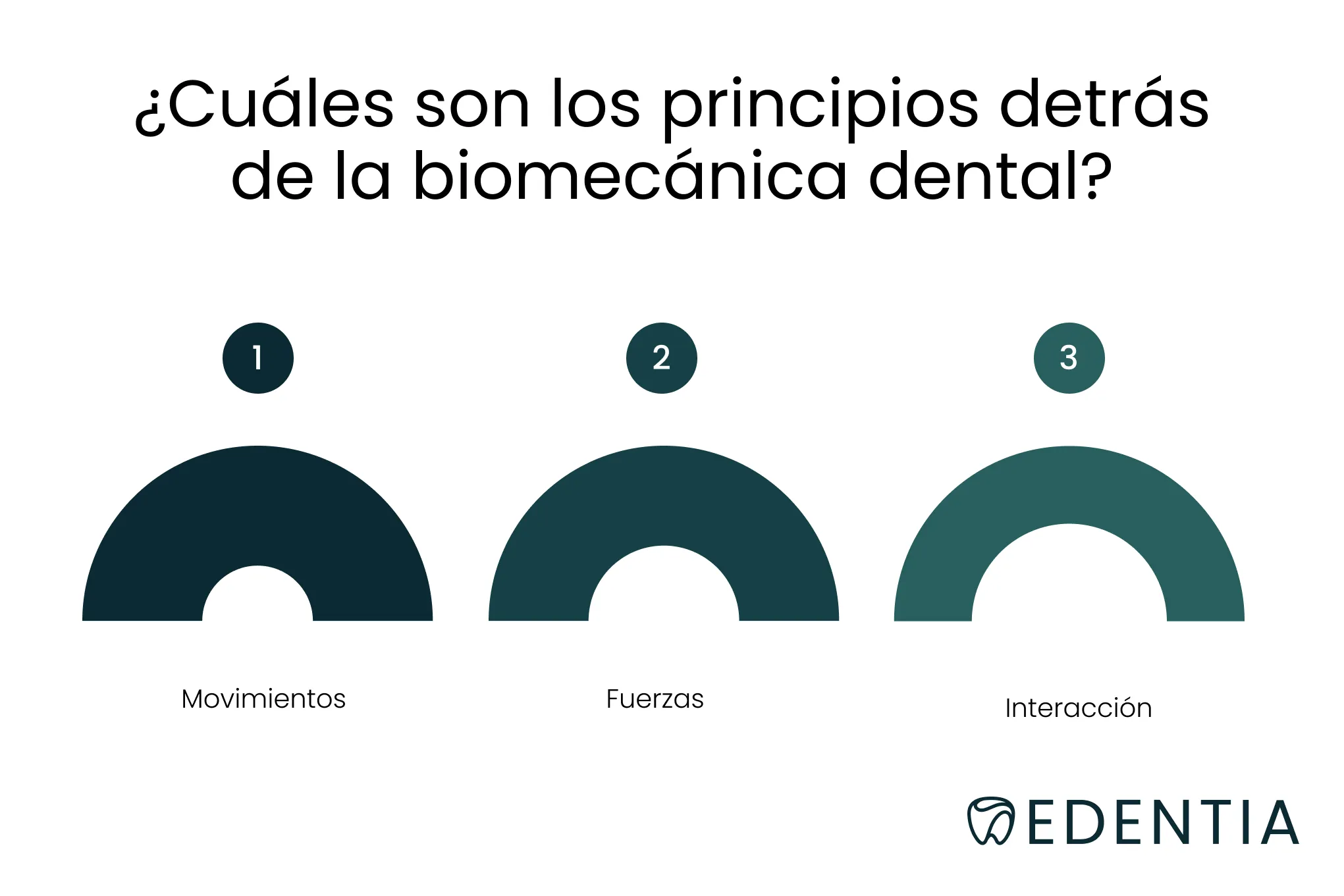 ¿Cuáles son los principios detrás de la biomecánica dental?