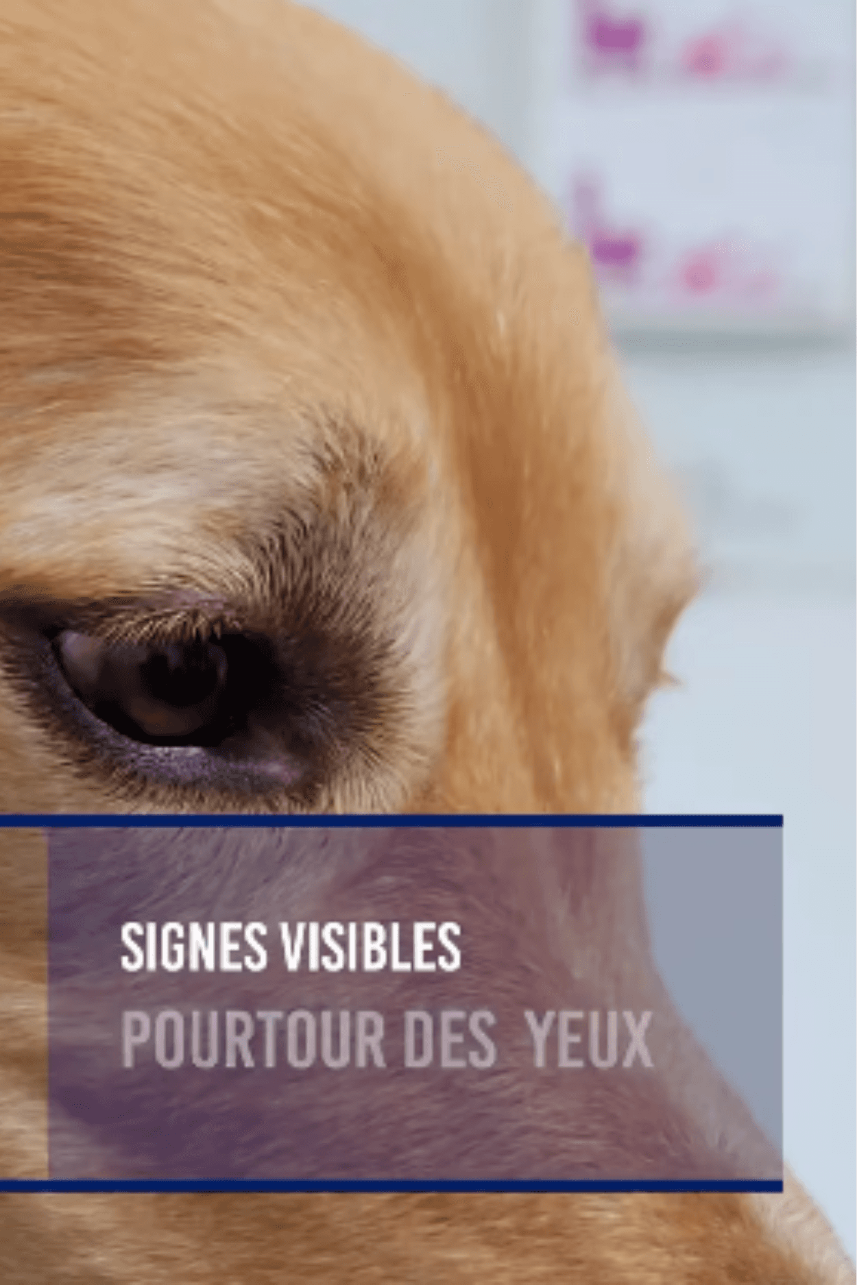 A man in a grey shirt sits in a dim office, gazing seriously at a computer screen. Blinds and office supplies create a focused and professional atmosphere.