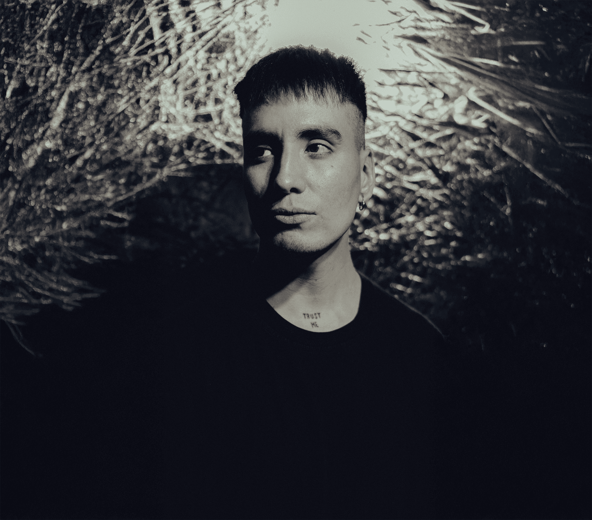 Franco - Nista Estudio