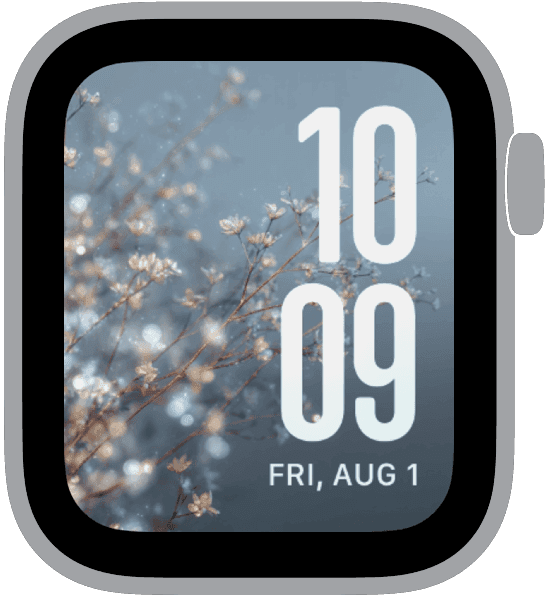 Frost Signal winter Apple Watch face with cool-toned frost design