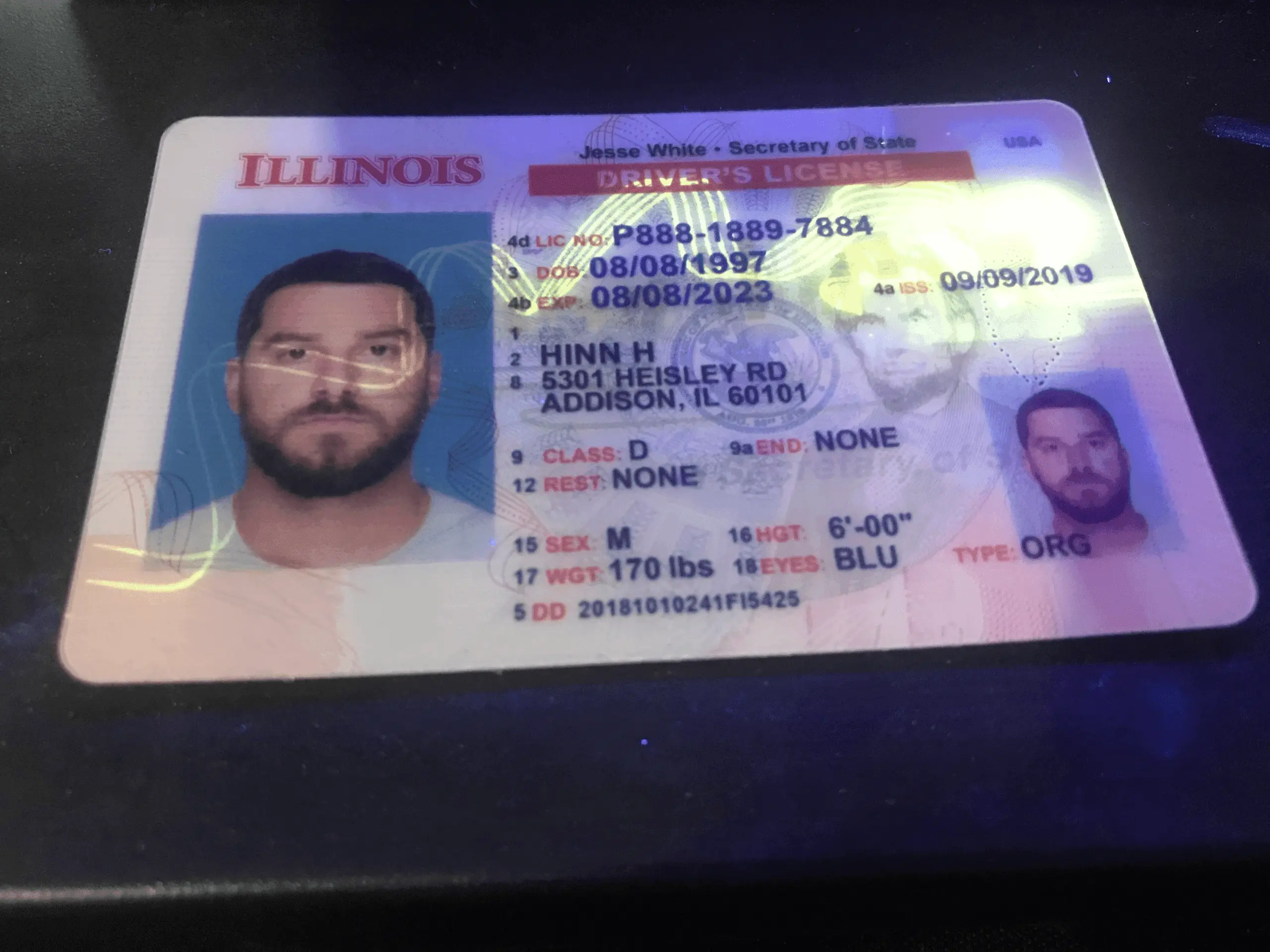 Holograms on a fake id under blacklight