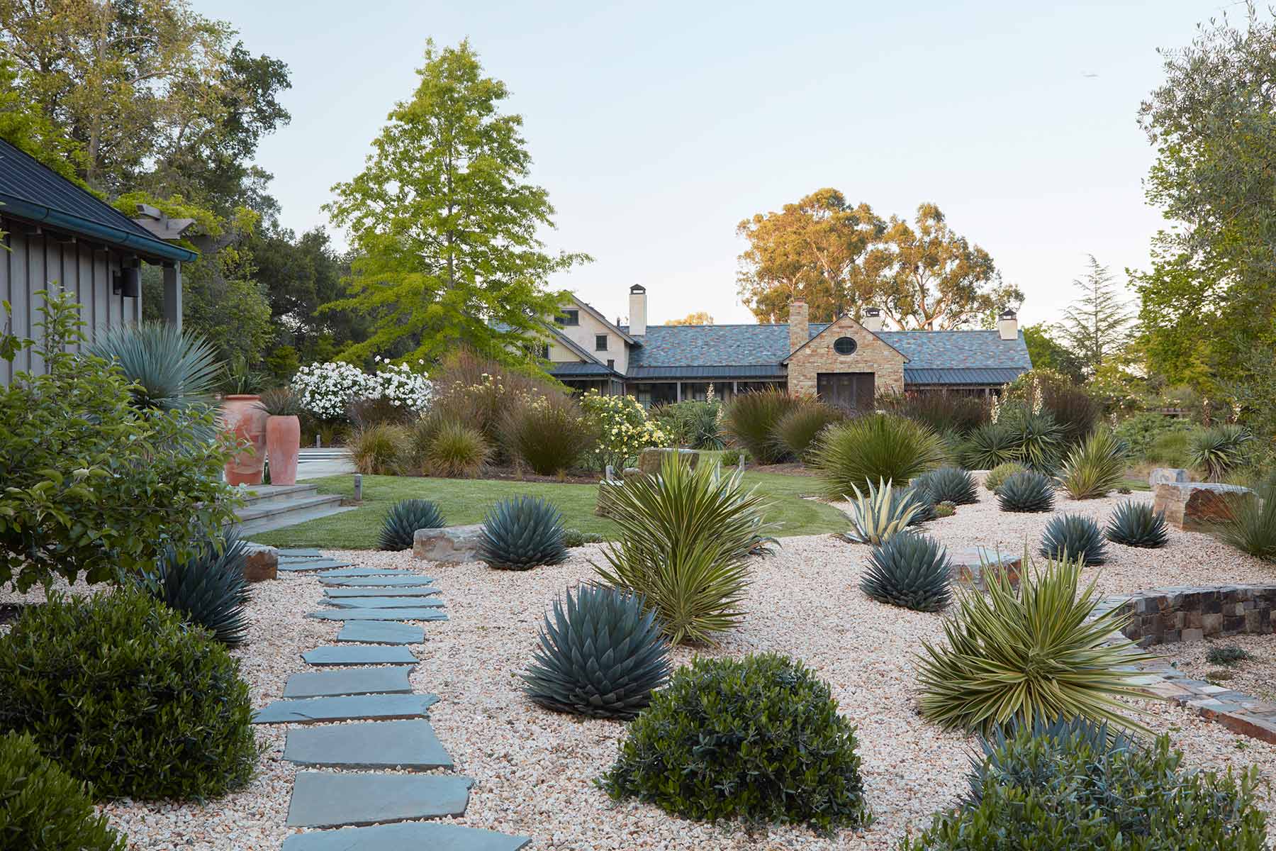 Desert style front yard