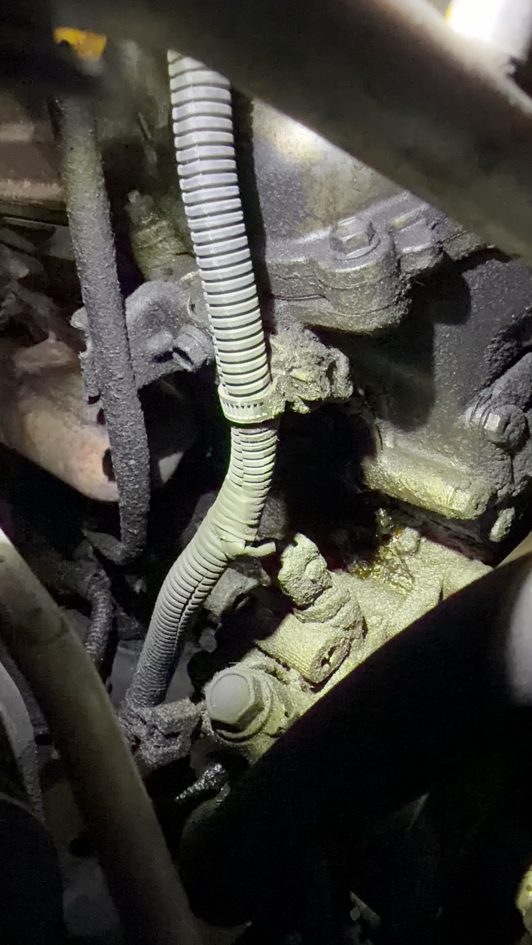Oil residue on the Tacoma engine around the valve cover area