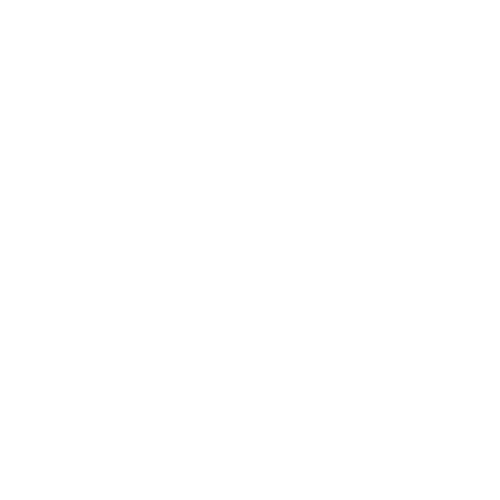 Logo LMN Consulting client de Sans Concept