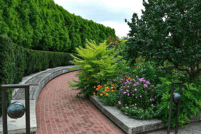 drive way landscaping