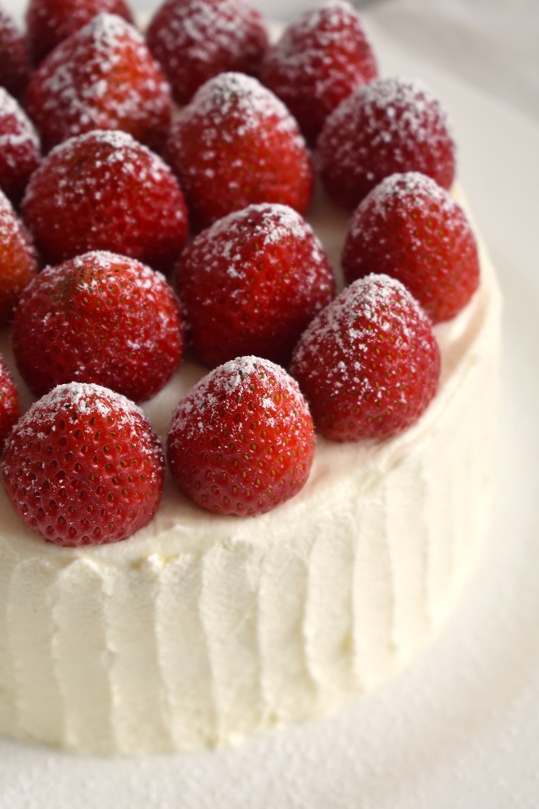 Strawberry Shortcake - My Dao Designer Portfolio