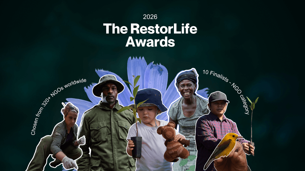 Official RestorLife Awards 2026 poster: 10 NGO finalists