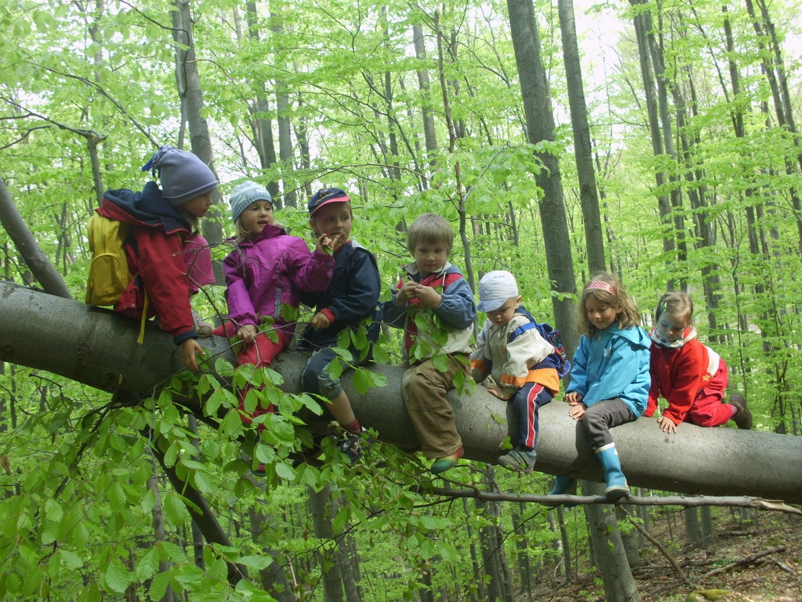 Close-up of lush, dark green leaves, some glossy and wet, against a muted background.