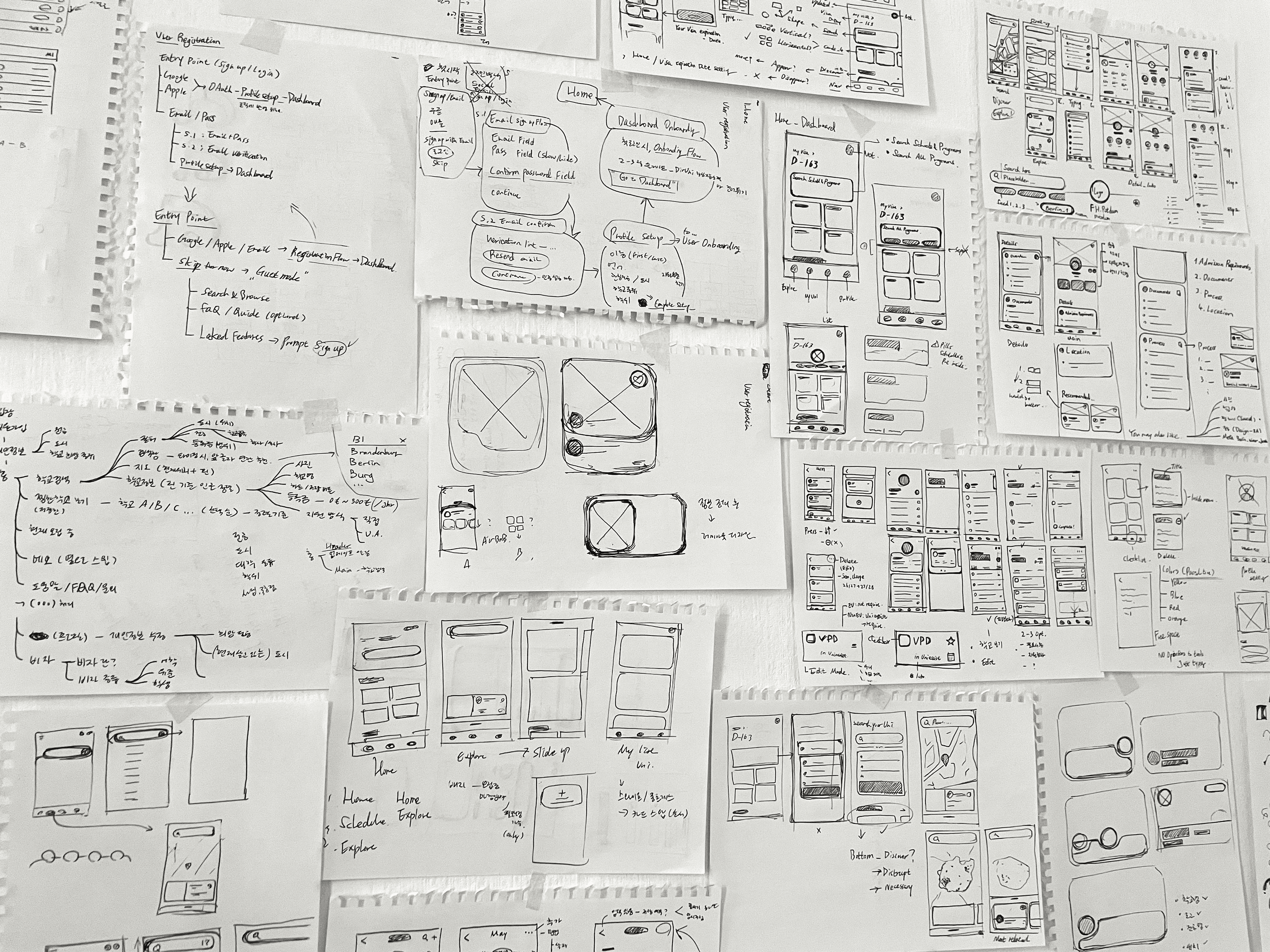 leafless tree on the field near the lake