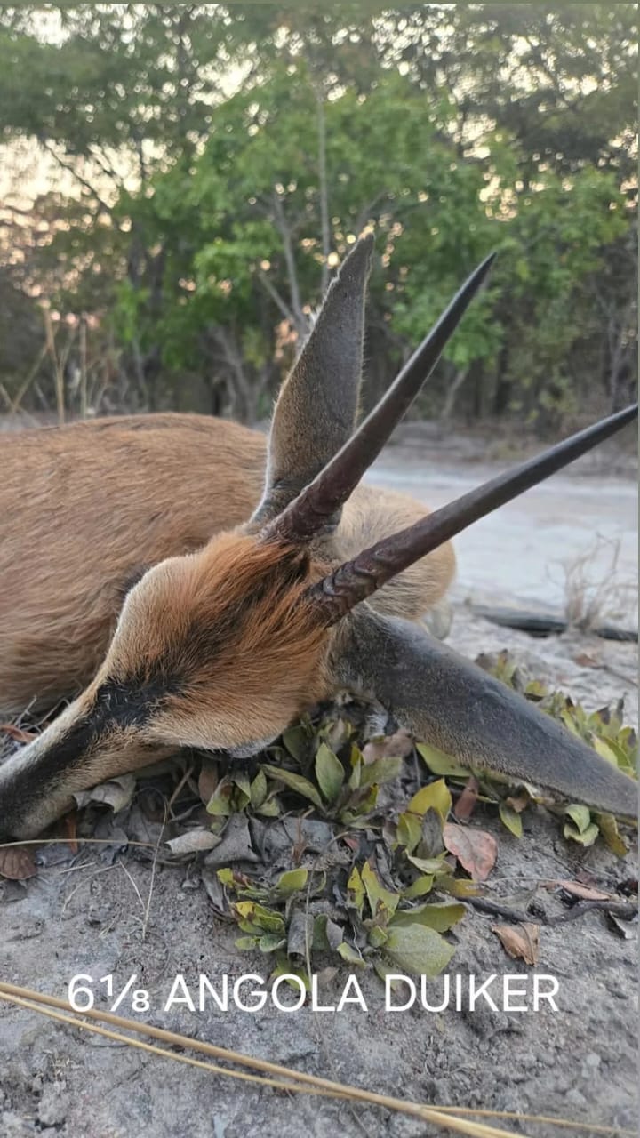 Gilson Hunting Safaris gallery photo 29