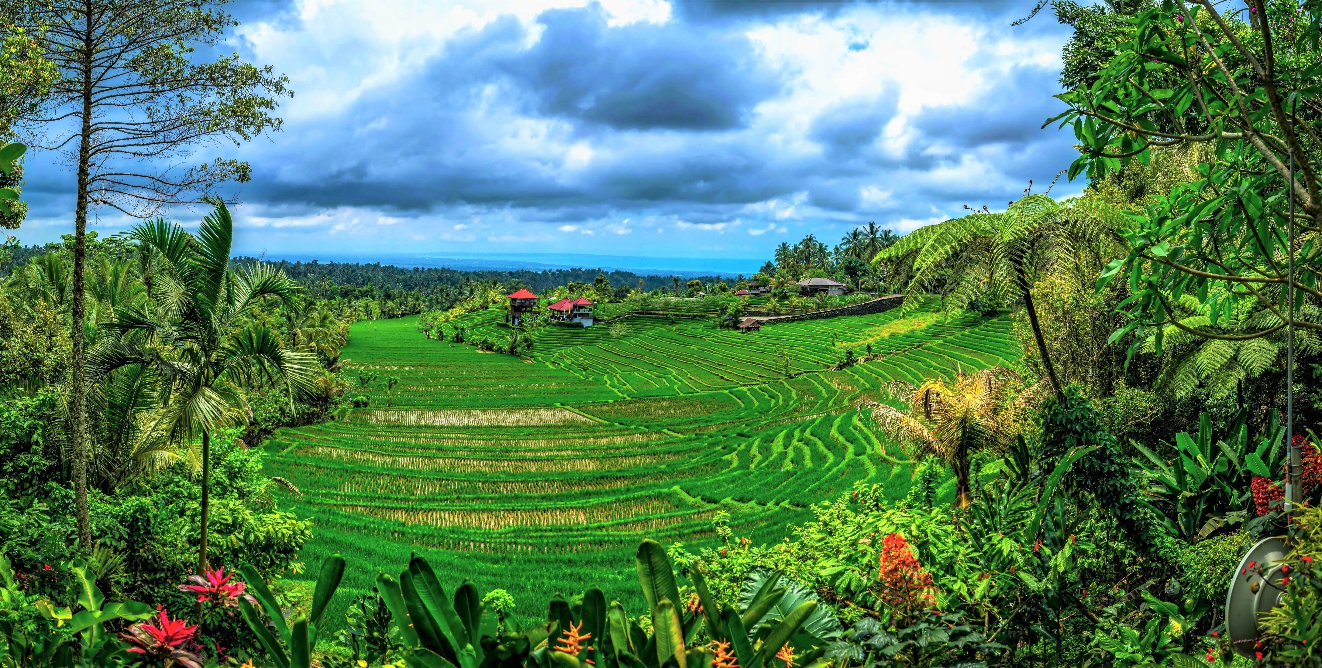 Bali Tour Package 5 Nights 6 Days