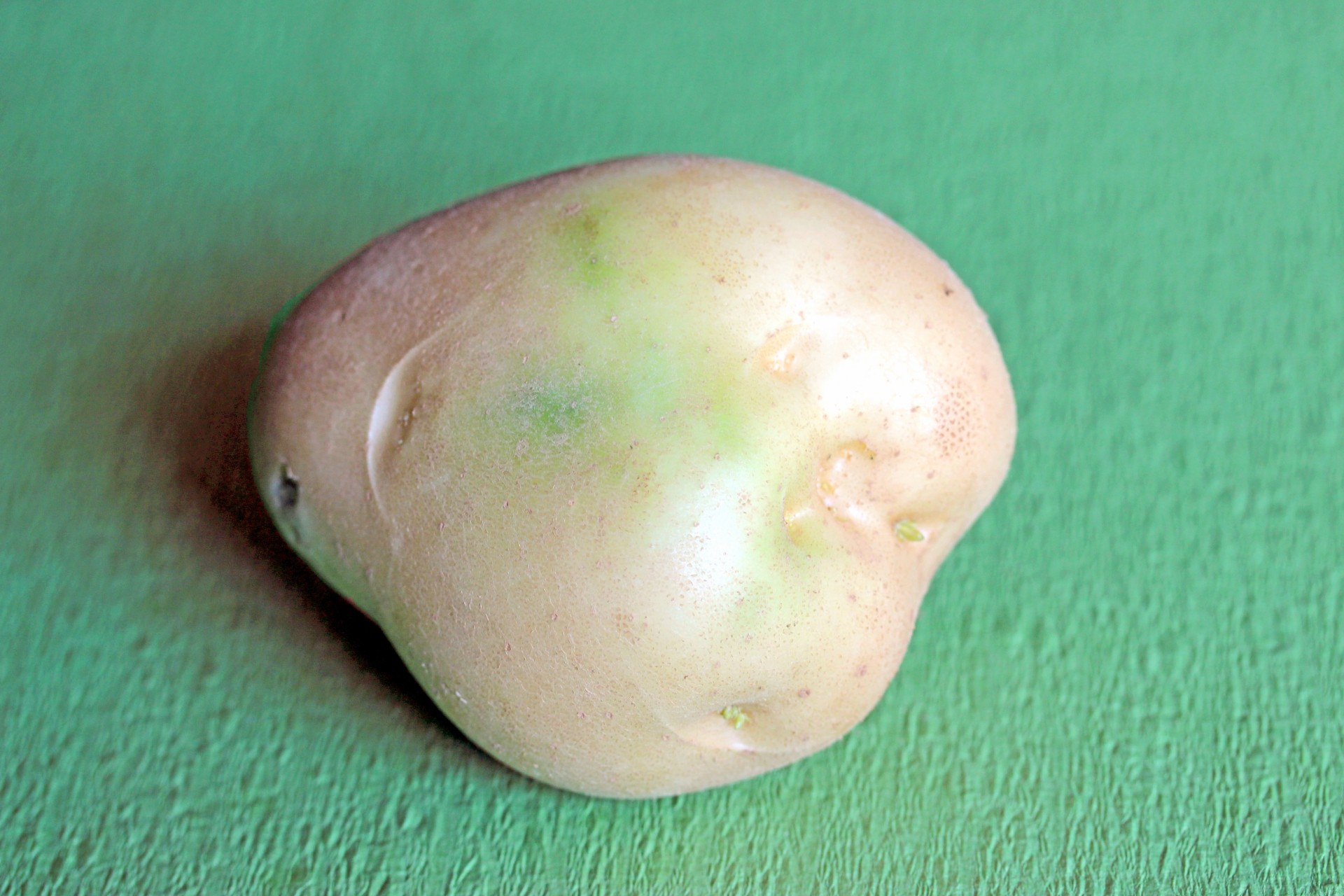 2026年3月・奈良県の食中毒事例