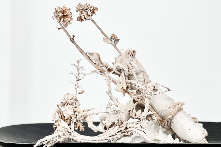 Bright dried flowers arranged in a sculptural composition