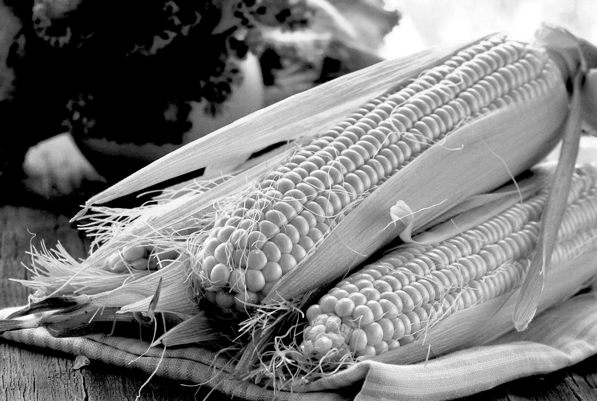 The best meat from Kilmullen Farm being supplied to As One Restaurant Dublin